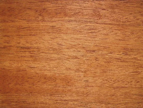 Bigleaf mahogany · oiled, sliced veneer